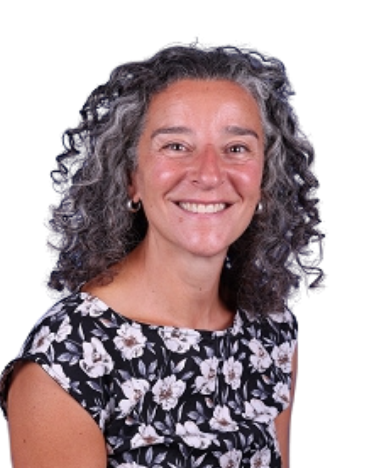 OriginalImage,,,Original