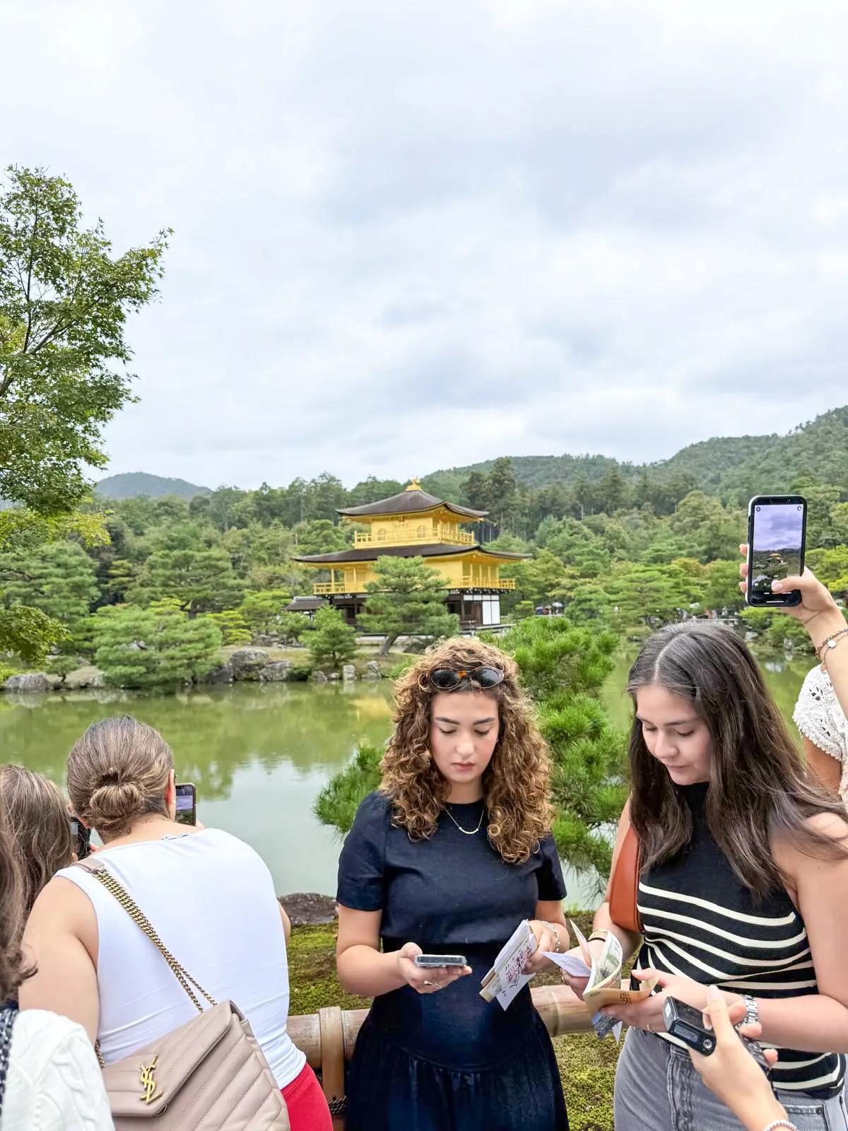  OptimizedImage,,,Optimized