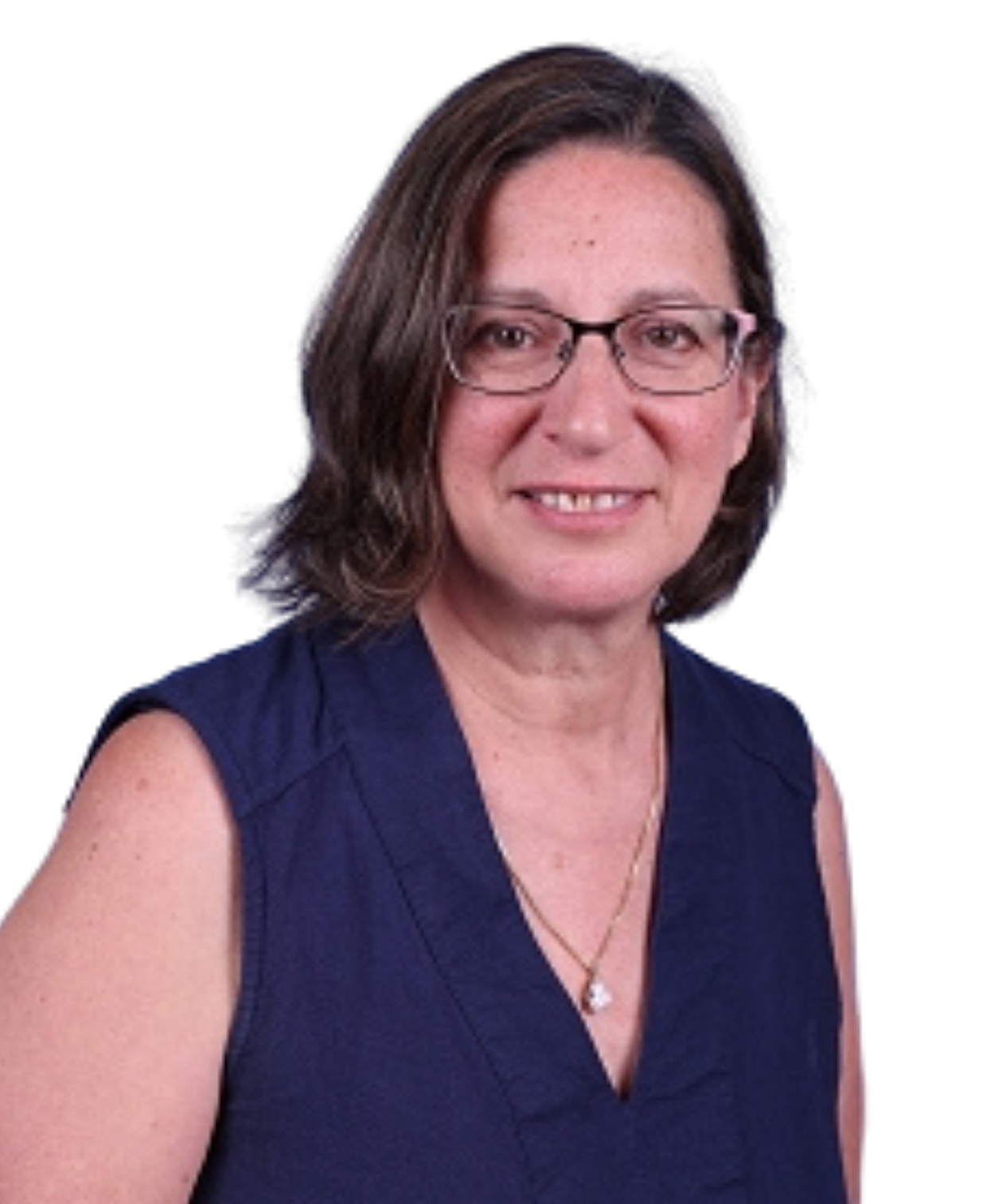 OriginalImage,,,Original