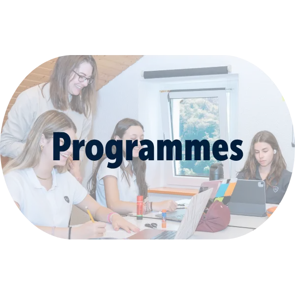 OptimizedImage,,,Optimized