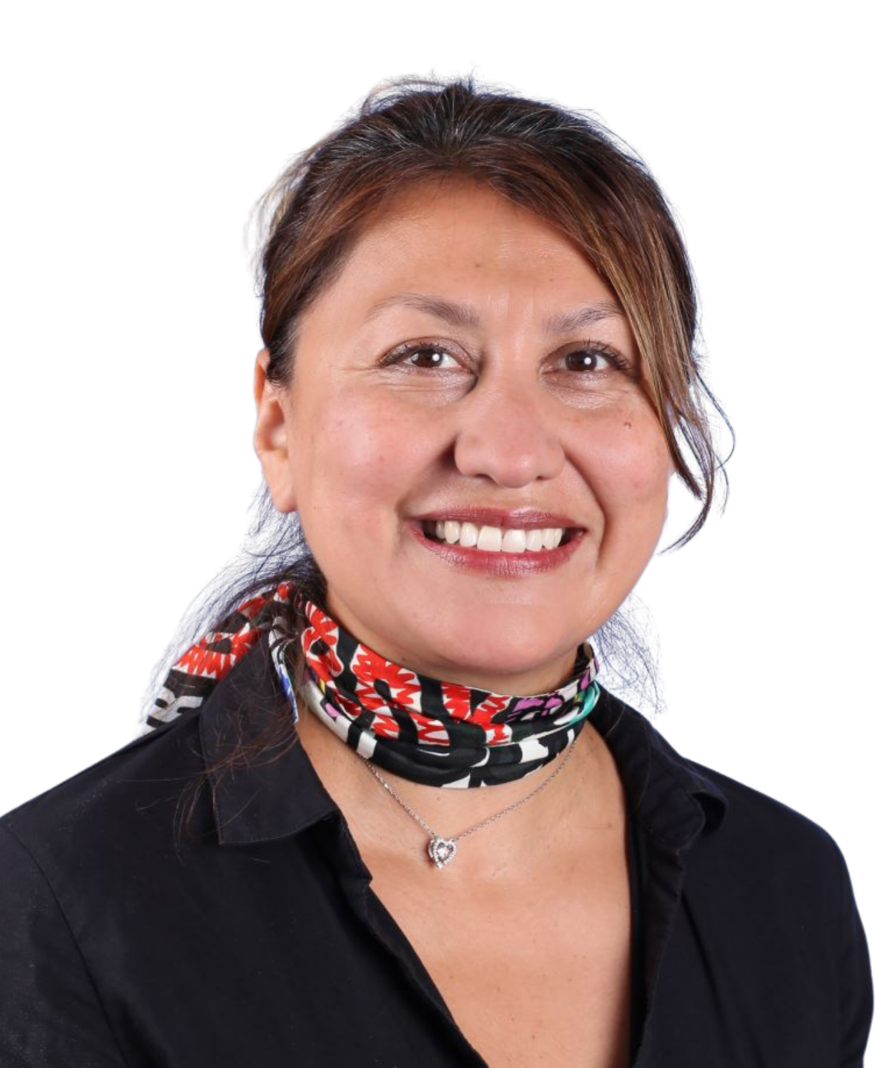 OriginalImage,,,Original