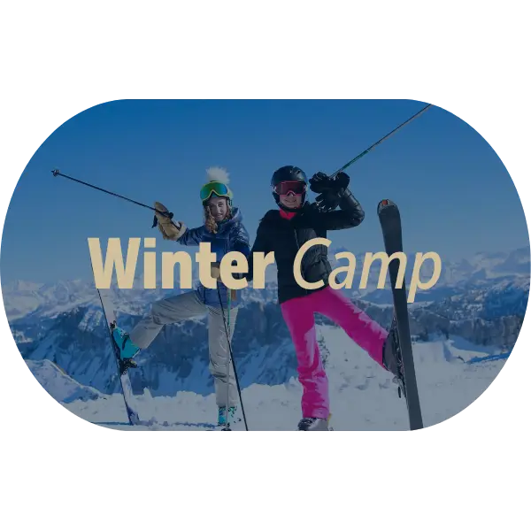  OptimizedImage,,,Optimized