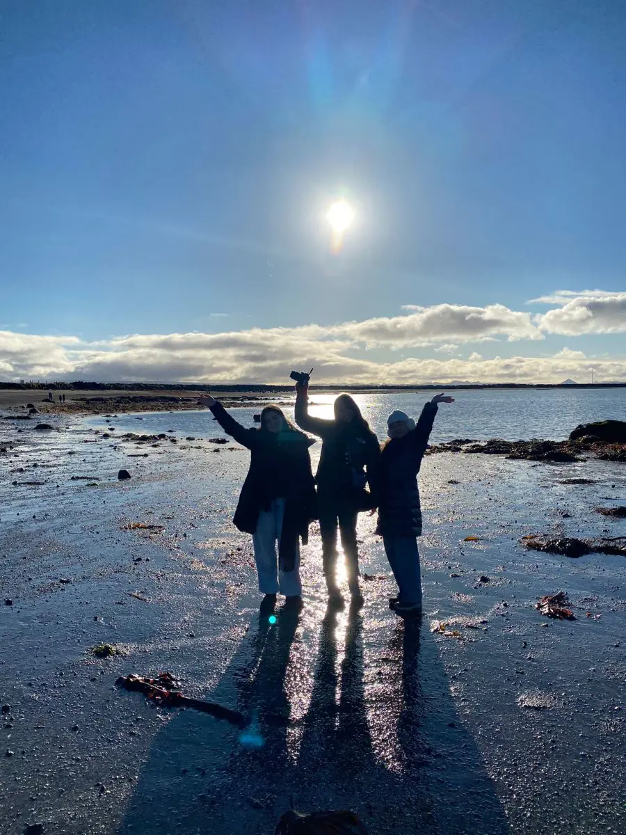  OptimizedImage,,,Optimized