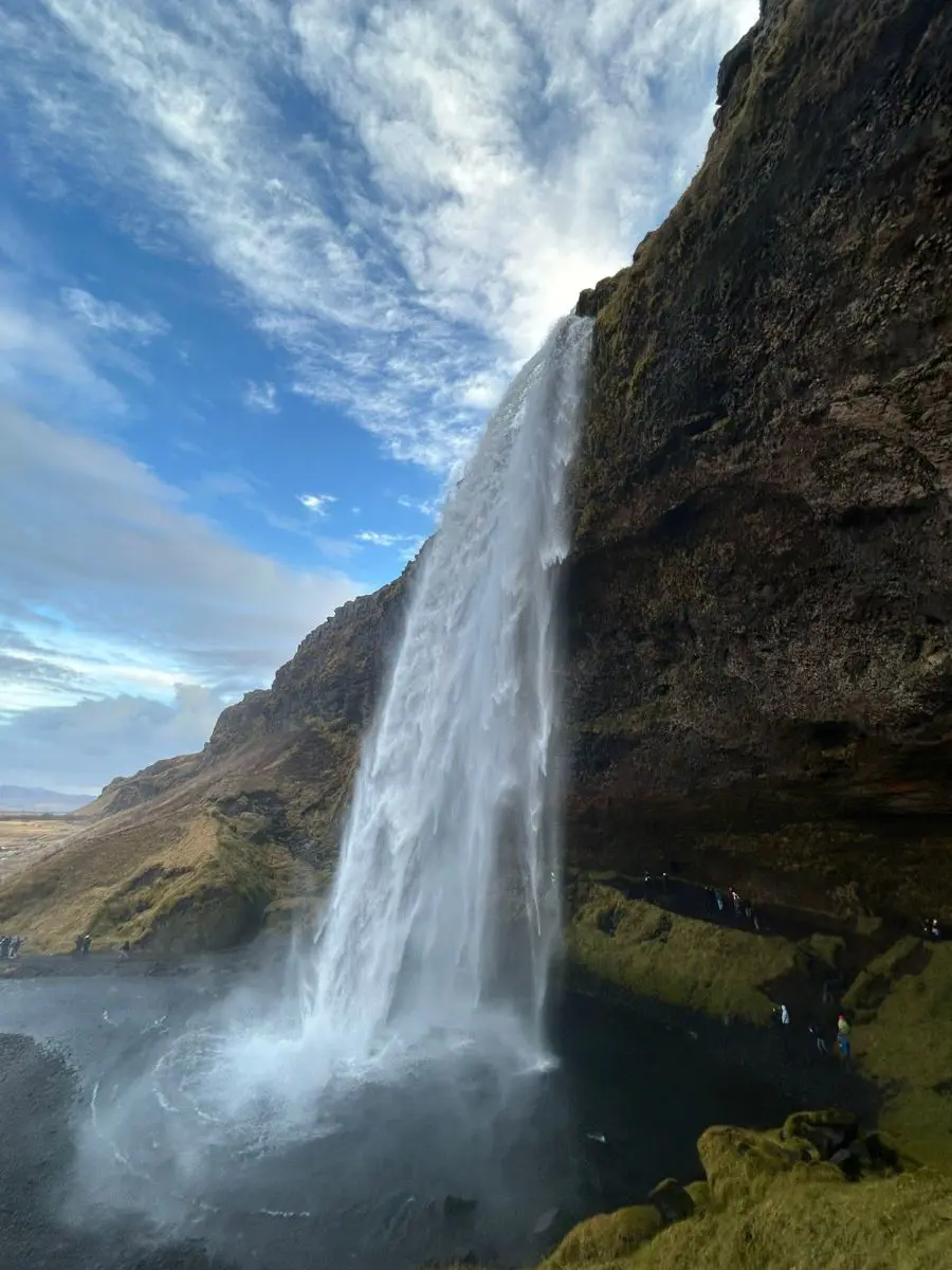 OptimizedImage,,,Optimized