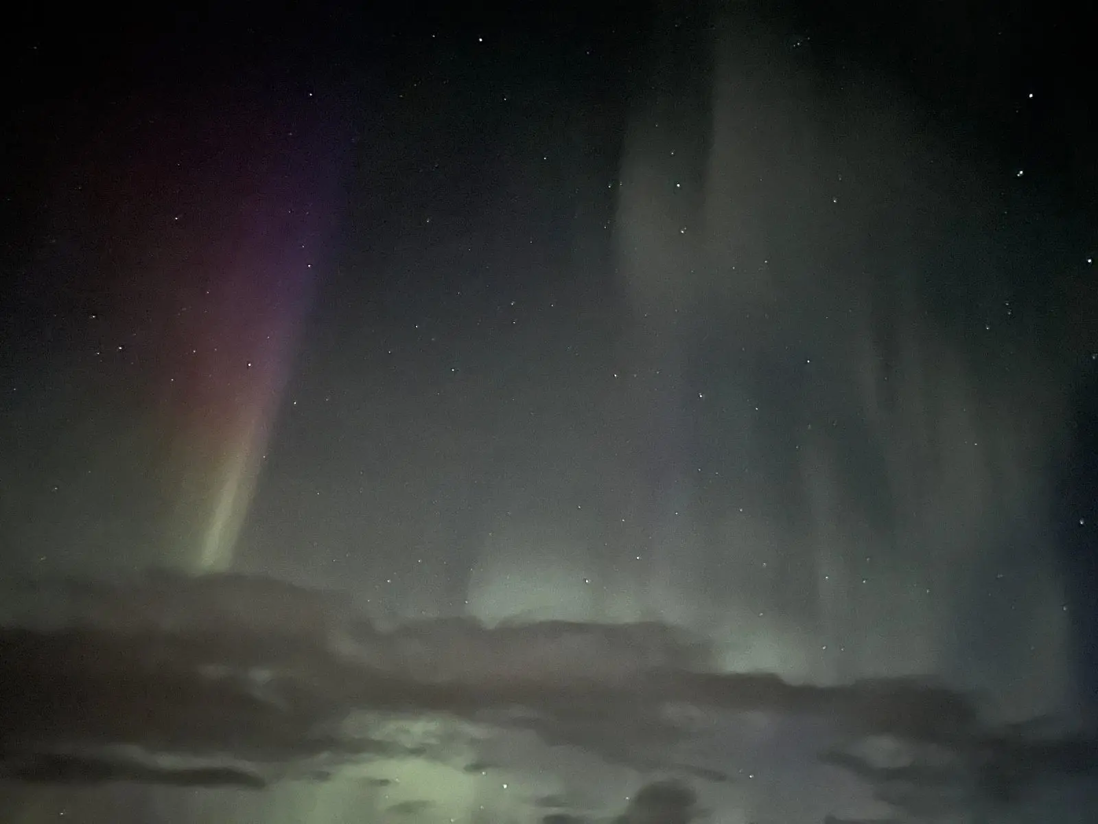  OptimizedImage,,,Optimized