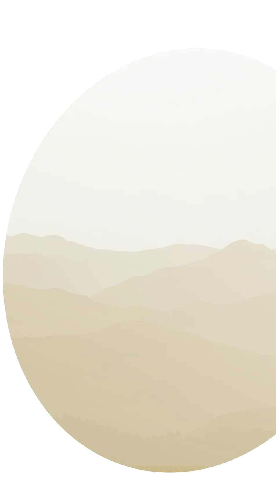  OptimizedImage,,,Optimized