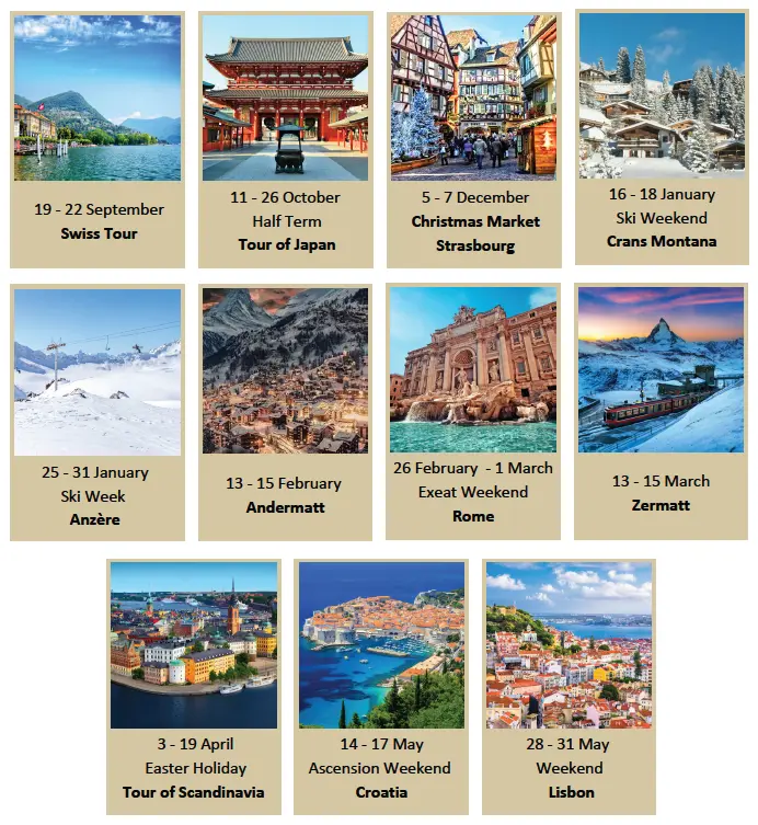 OptimizedImage,,,Optimized